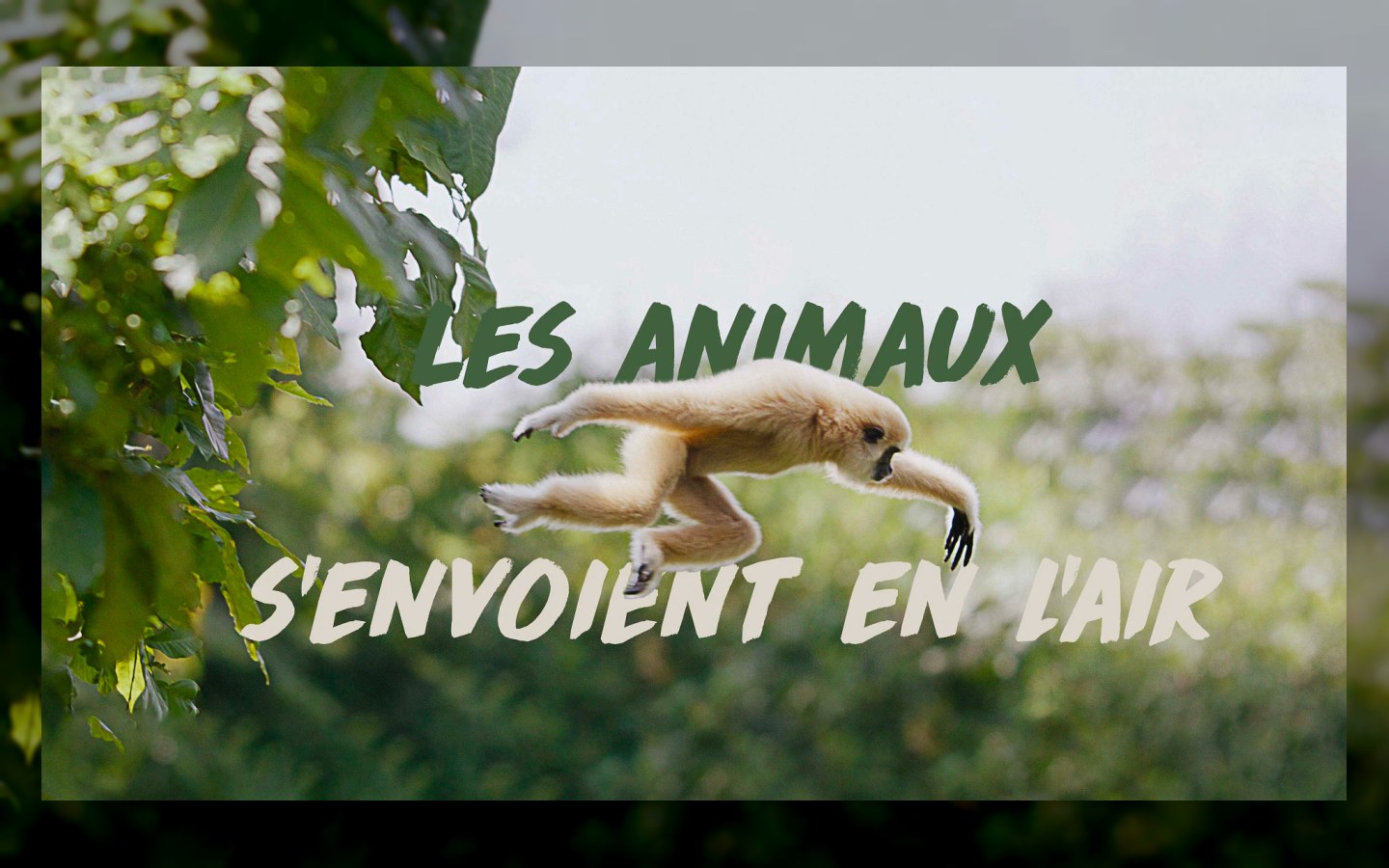 INTERMÈDES NATURE # 8 – Les supers-pouvoirs du vivant — photo 4