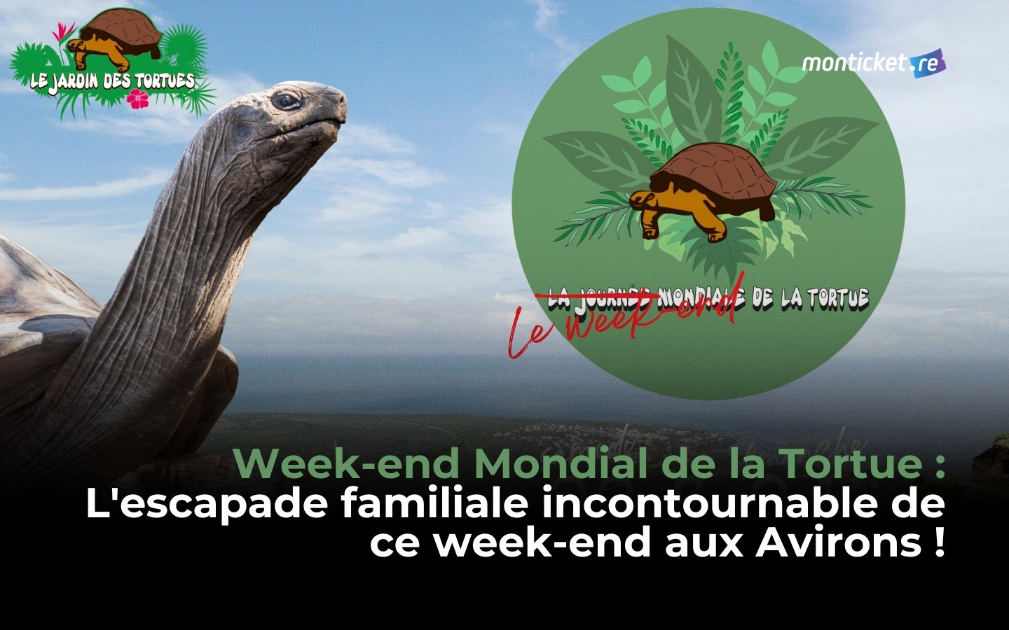Week-end Mondial de la Tortue : L'escapade familiale incontournable de ce week-end aux Avirons !